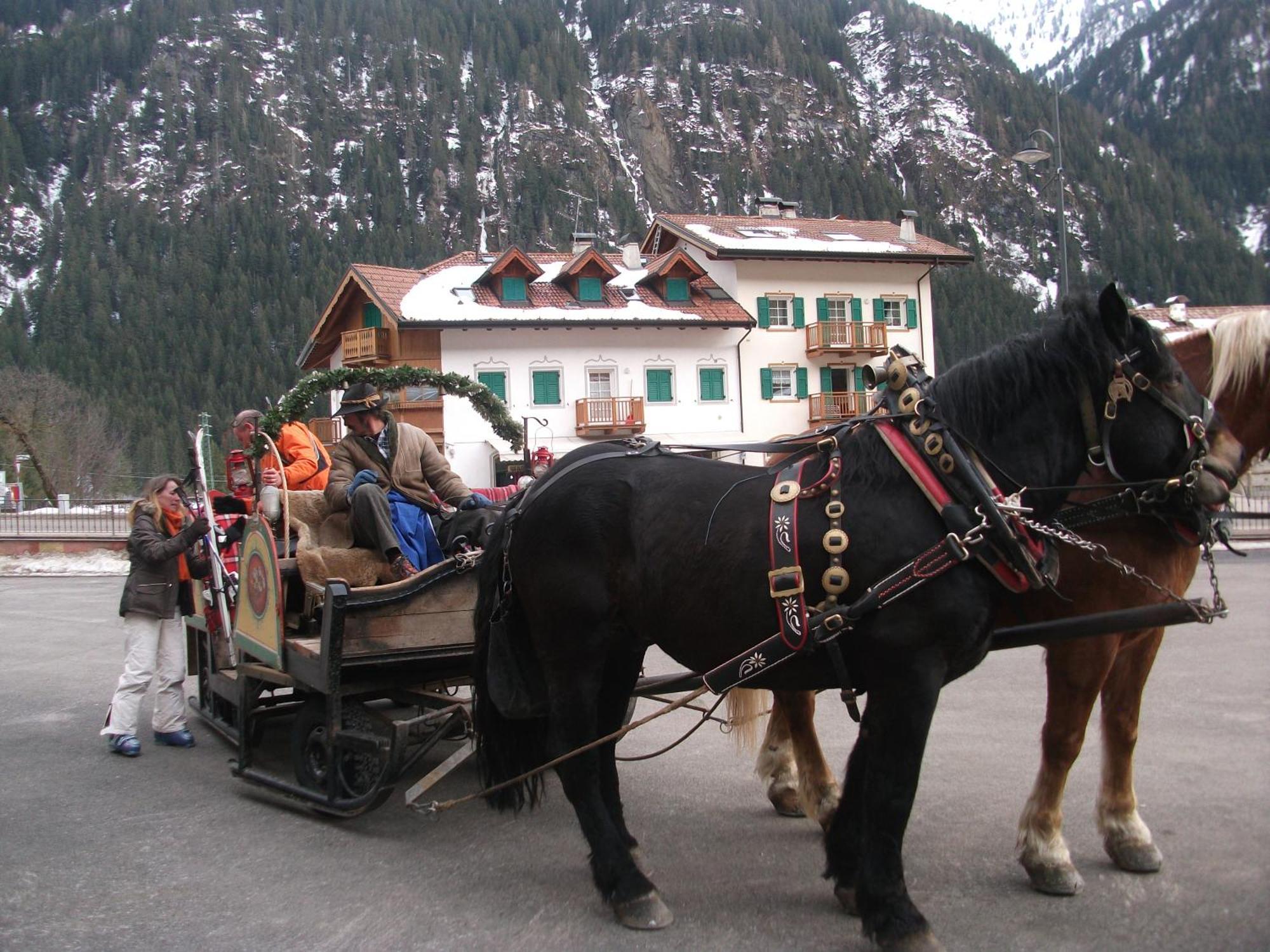 Hotel Ciamol กัมปีเตลโลดีฟัสซา ภายนอก รูปภาพ